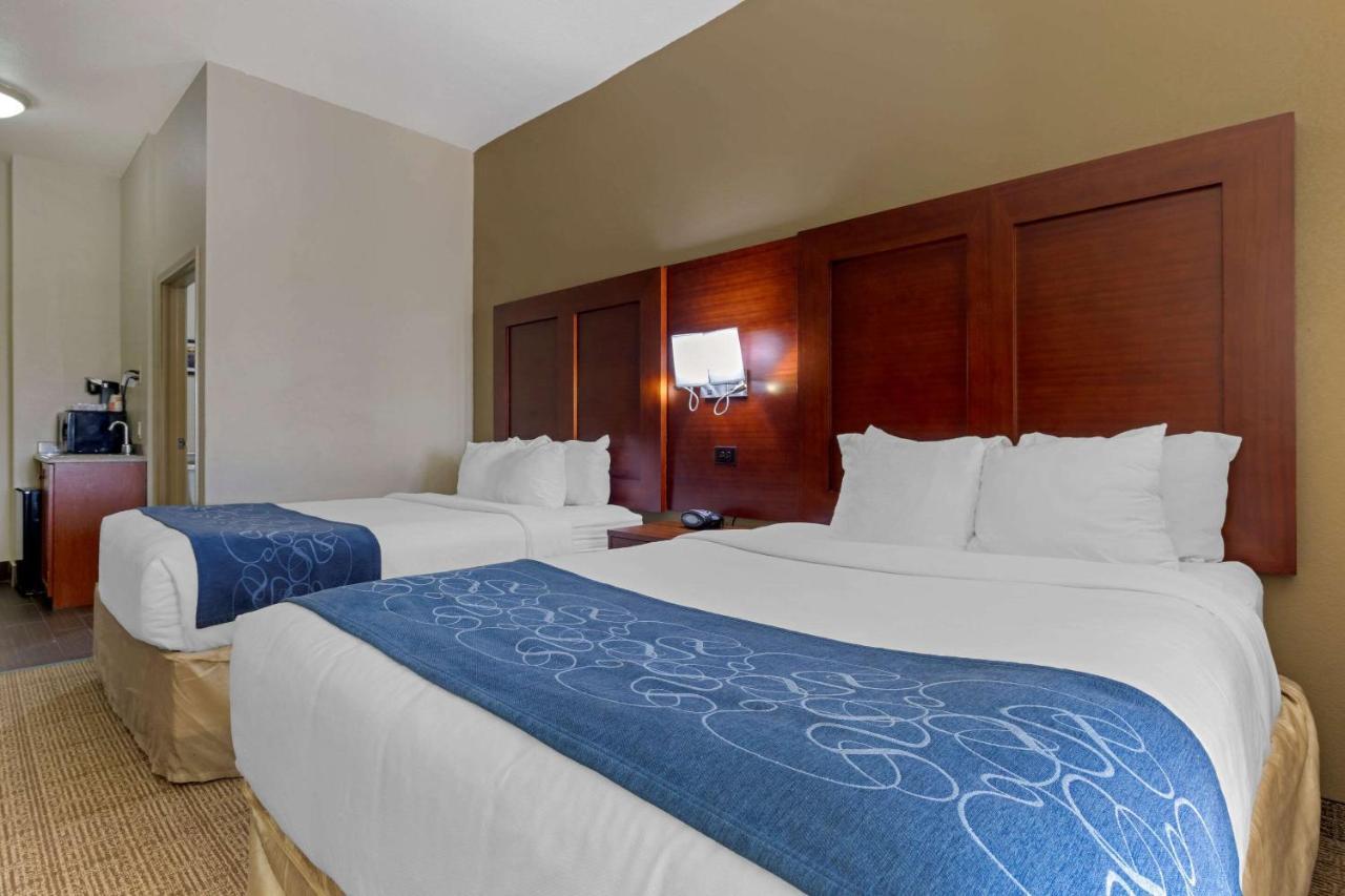 Comfort Suites Gainesville Ngoại thất bức ảnh